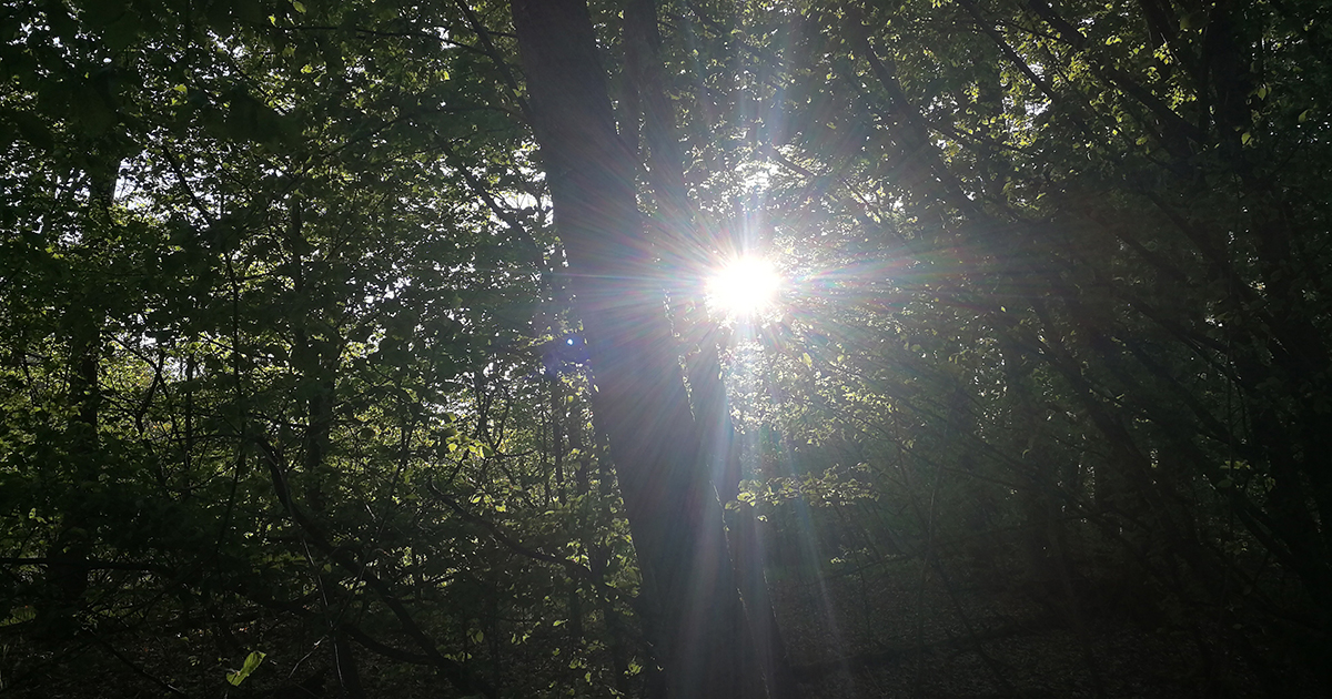 Böse Menschen Haben Keine Lieder Böse Menschen Haben Keine Lieder