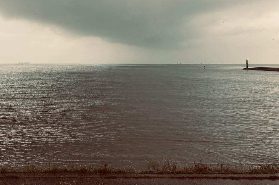 © Judith Hermann; “I searched for and found my diary from the year 2021. On August 21, 2021, it was a new moon, a Saturday on which the sun rose at 8:18 a.m. and set again at 8:30 p.m.”