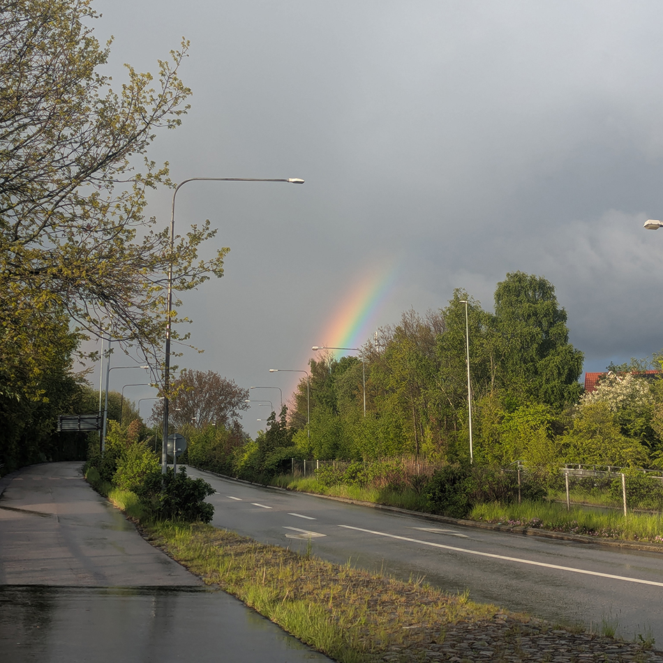 Ein Farbfoto von einer leeren Straße. Die ist vom Regen feucht. AmHimmel stehen dunkle Wolken, dazu erstreckt sich ein Regenbogen Richtung Himmel.
